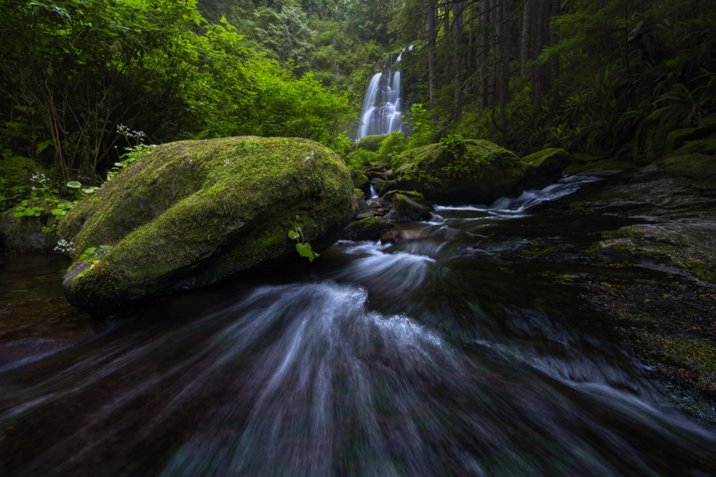 A small stream winds through central Oregon leading to a beautiful waterfall