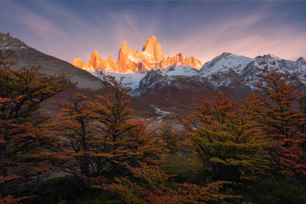 Lenga trees frame a glowing Fitz Roy in El Chalten, Argentina.