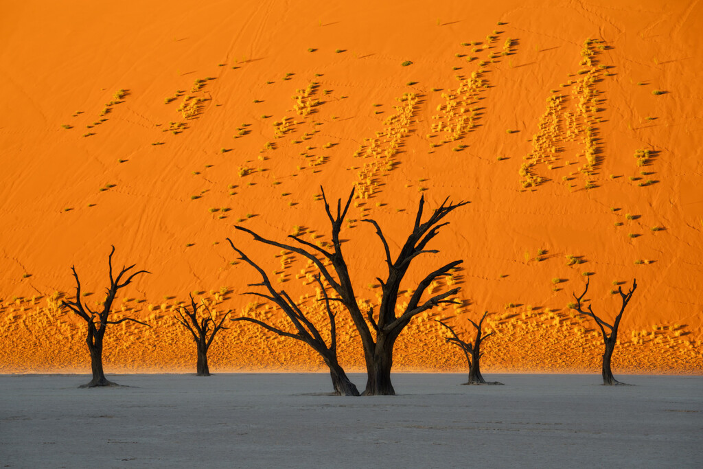 The sun sets on Deadvlei in Namibia leaving tree skeleton silhouettes