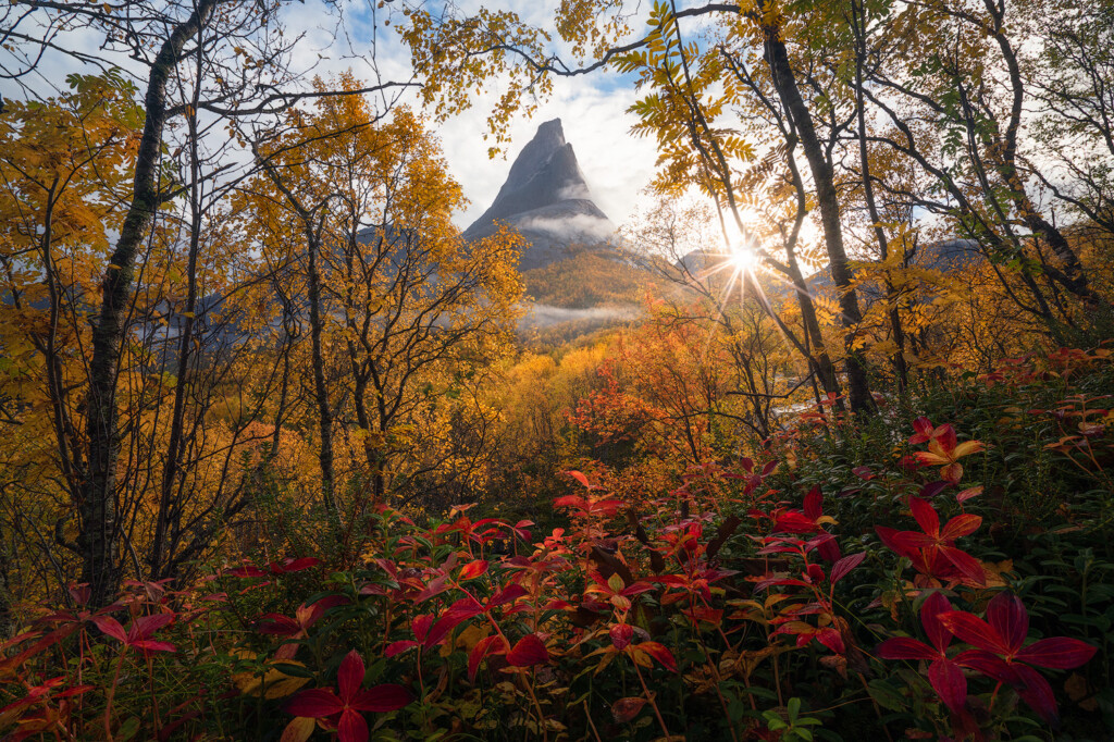 Beautiful autumn leaves frame a sharp peak in Norway